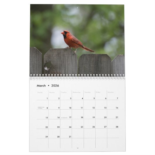 vogelkalender 2023 kalender (Mar 2026)