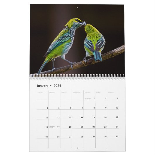 vogelkalender 2023 kalender (Jan 2026)