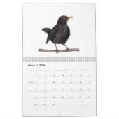Vogelkalender 2024 kalender (Mar 2026)