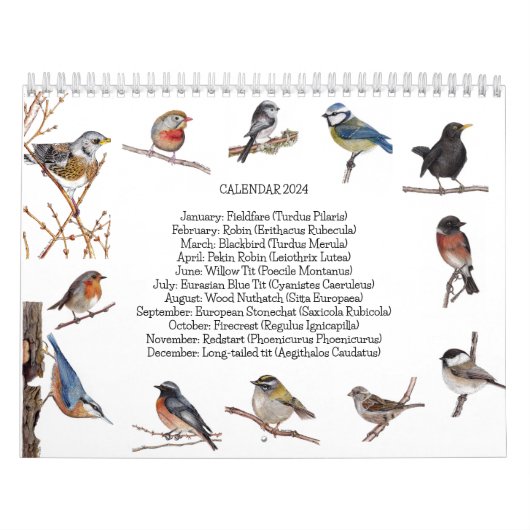 Vogelkalender 2024 kalender (Hoes)