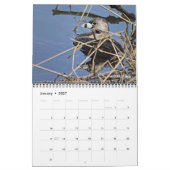 Vogelkalender 2026 kalender (Jan 2027)