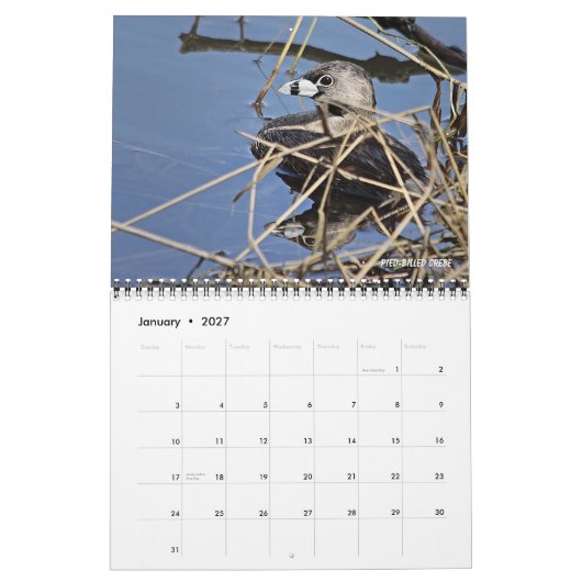 Vogelkalender 2026 kalender (Jan 2027)