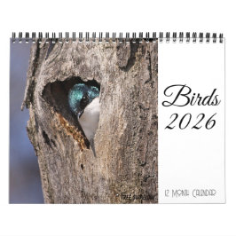Vogelkalender 2026 kalender