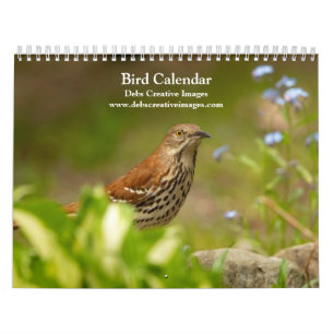 Vogelkalender 2026 kalender