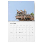 Vogelkalender 2026 kalender (Mar 2027)