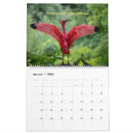 Vogelkalender 2026 - Met bijbelverzen Kalender