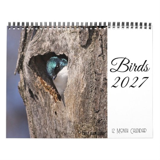 Vogelkalender 2027 kalender (Hoes)