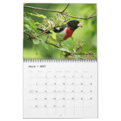 Vogelkalender 2027 kalender (Mar 2027)