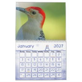 Vogelkalender 2 kalender (Jan 2027)
