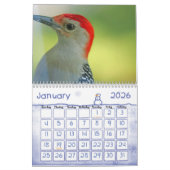 Vogelkalender 2 kalender (Jan 2026)