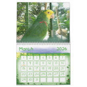Vogelkalender 2 kalender (Mar 2026)