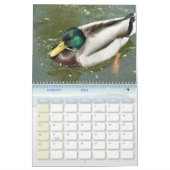 Vogelkalender 5 kalender (Jan 2026)
