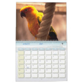 Vogelkalender 6 kalender (Jan 2027)