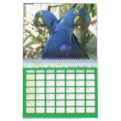 Vogelkalender 6 kalender (Mar 2027)