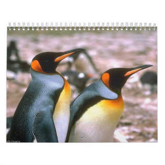 Vogelkalender 6 kalender