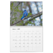 vogelkalender kalender (Mar 2027)