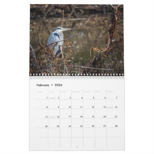 vogelkalender kalender (Feb 2026)