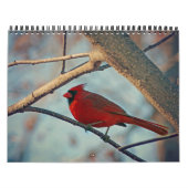 vogelkalender kalender (Hoes)