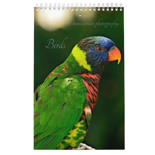 vogelkalender kalender (Hoes)