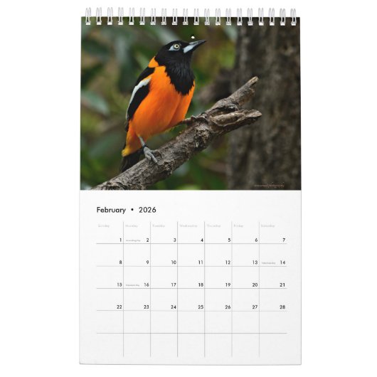 vogelkalender kalender (Feb 2026)