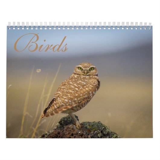 vogelkalender kalender (Hoes)
