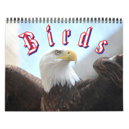 Vogelkalender Kalender