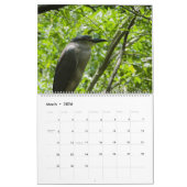 vogelkalender kalender (Mar 2026)