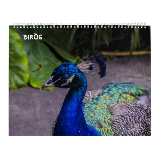 vogelkalender kalender (Hoes)