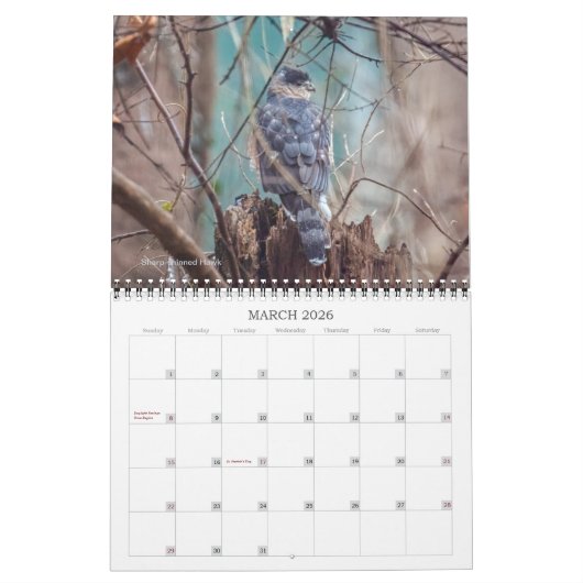 vogelkalender kalender (Mar 2026)