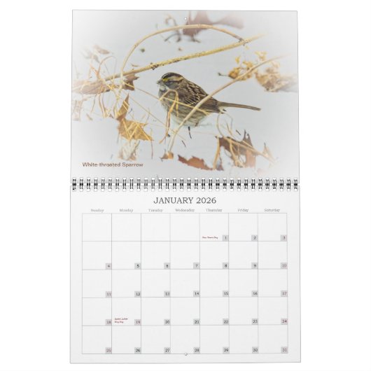 vogelkalender kalender (Jan 2026)