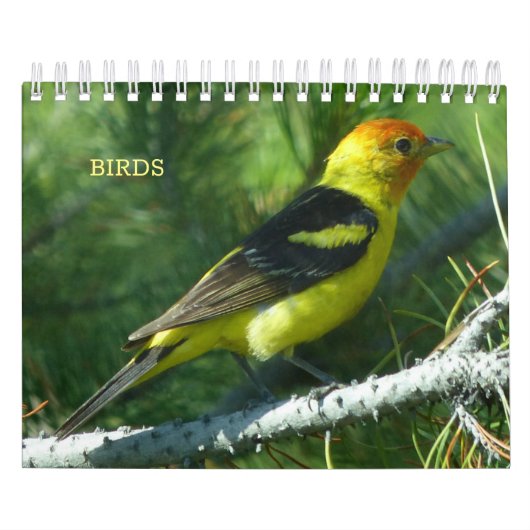 vogelkalender kalender (Hoes)