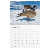 Vogelkalender Kies je startmaand / jaar Kalender (Jan 2027)