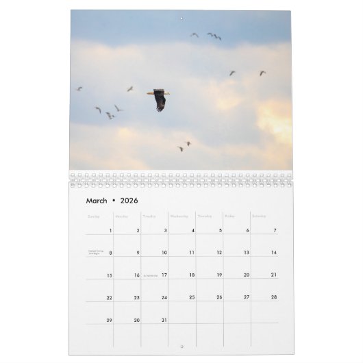 Vogelkalender voor de oostkust kalender (Mar 2026)