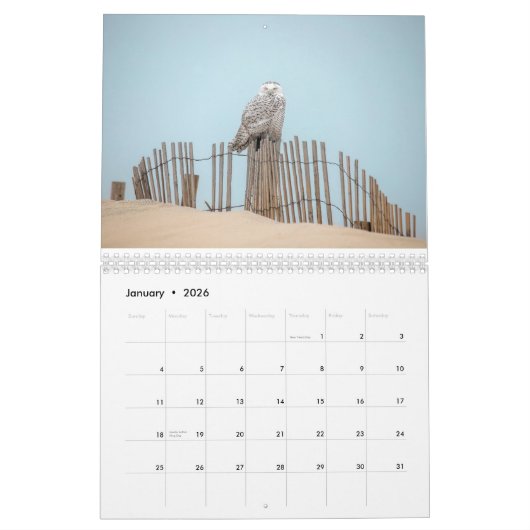 Vogelkalender voor de oostkust kalender (Jan 2026)