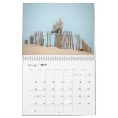 Vogelkalender voor de oostkust kalender (Jan 2027)
