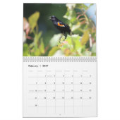 Vogelkalender voor de oostkust kalender (Feb 2027)