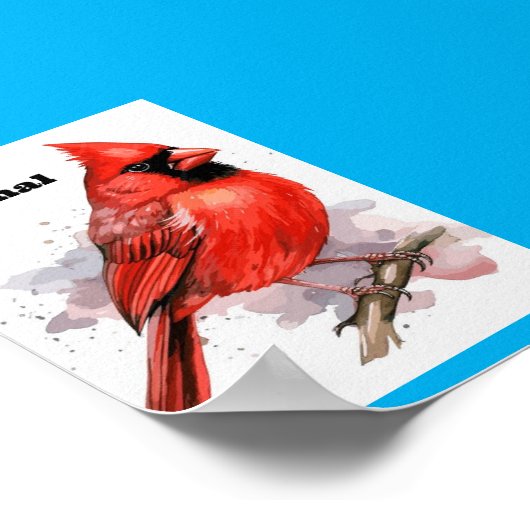 Vogelkardinaal Poster (Hoek)