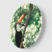 Vogelklok Grote Klok (Hoek)