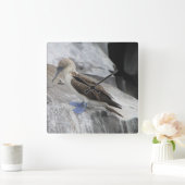 Vogelklok Vierkante Klok (Huis)