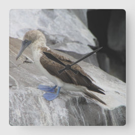 Vogelklok Vierkante Klok