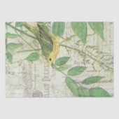  vogelkolonieweefsel tissuepapier (Voorkant)