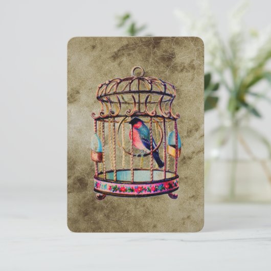 vogelkooi kaart (Staand voorkant)