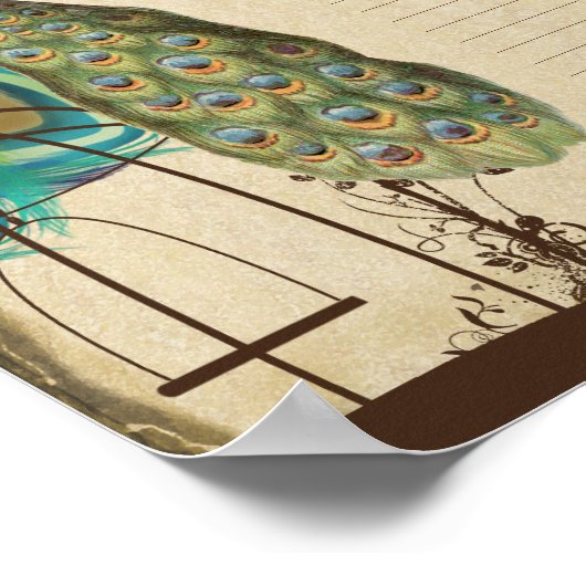 Vogelkooi voor pacock print quaker Weduwcertificaa (Hoek)