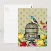 Vogelkooibloem briefkaart (Voorkant / Achterkant)