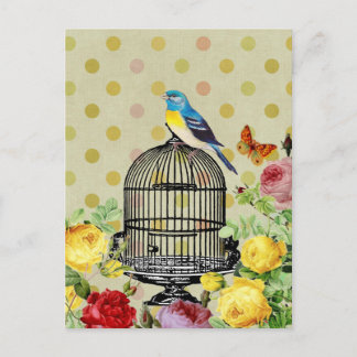 Vogelkooibloem briefkaart