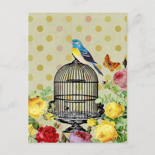Vogelkooibloem briefkaart (Voorkant)