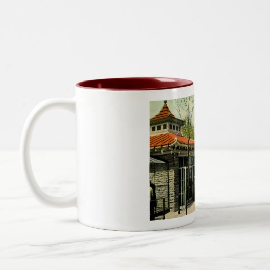 Vogelkooien in dierentuin, Cincinnati, OH  Briefka Tweekleurige Koffiemok (Links)