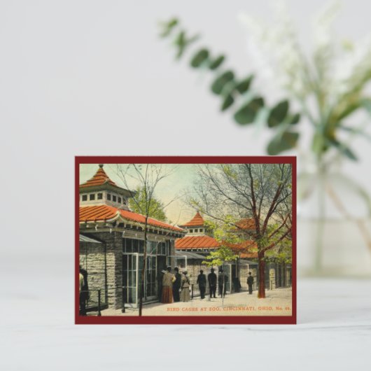 Vogelkooien in dierentuin, Cincinnati, OH  Briefkaart (Staand voorkant)