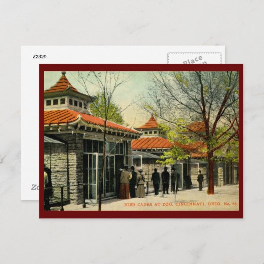 Vogelkooien in dierentuin, Cincinnati, OH  Briefkaart (Voorkant / Achterkant)