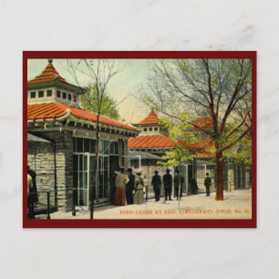 Vogelkooien in dierentuin, Cincinnati, OH  Briefkaart